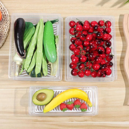 Fridge Storage Containers Box with Drain Plate