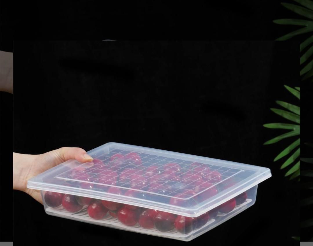 Fridge Storage Containers Box with Drain Plate