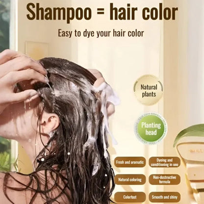 Long Lasting Natural Hair Dye Shampoo - Color + Care in One Wash (Pack of 2)
