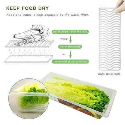 Fridge Storage Containers Box with Drain Plate